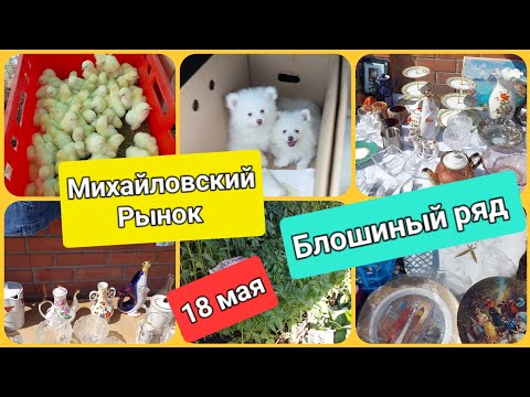 Видео: Караганда. Михайловский рынок.(птичий) блошиный ряд..