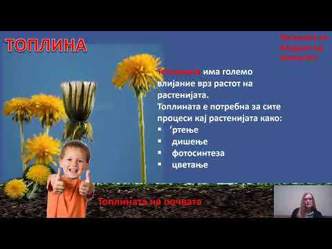 Видео: V одделение - Природни науки - Фактори за растење на растенијата