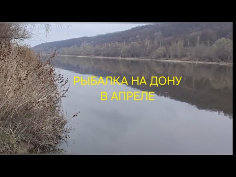 Видео: РЫБАЛКА НА ДОНУ В АПРЕЛЕ!!!