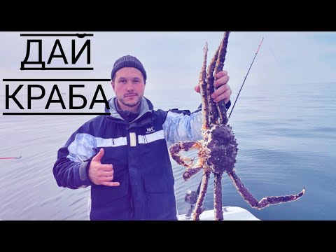 Видео: Ловля Камчатского Краба. Владивосток