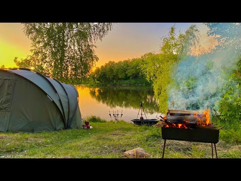 Видео: ВІД ЦИХ КАБАНІВ ЛІСКИ ТРІЩЯТЬ. Трофейний карпфішинг в затишному місці. Рибалка 2023