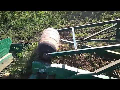 Видео: комбайн 3. 06 09 2020
