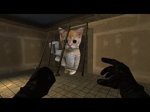 Видео: от них не спрятаться