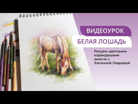 Видео: Рисуем белую лошадь на лугу, пошаговый урок | карандаши Малевичъ