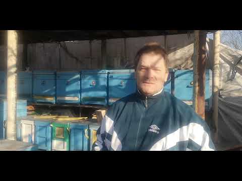 Видео: Ответ по обогреву пчёл!
