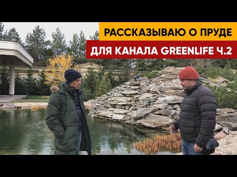 Видео: Рассказываю о моем пруде для канала Greenlife @GreenlifeRussia ч.2