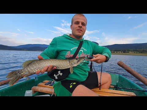 Видео: Краси ги разби . Костури и щуки на яз. Батак .