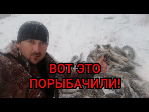 Видео: Налим! Рыбалка осенью на стук! Реальная рыбалка на печень и потроха налима!