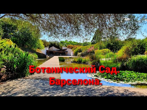 Видео: Ботанический сад Барселоны 🇪🇦