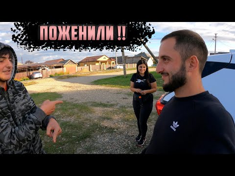 Видео: Гаяну и Агопа поженили !!! Питбули драгон лайф VS Четвероногие друзья.