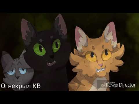 Видео: {Коты-Воители}||▪□Листвичка□▪||[Gravity Of Love]