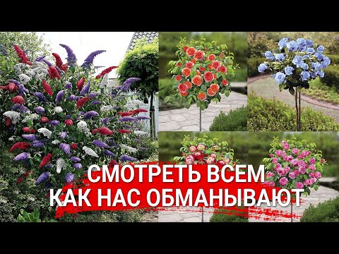 Видео: СМОТРЕТЬ ВСЕМ – КАК НАС ОБМАНЫВАЮТ