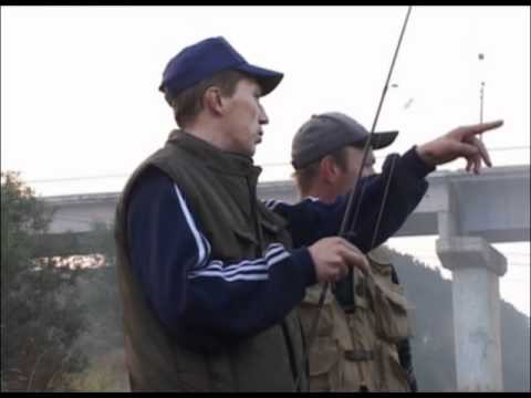 Видео: Жерех, муха