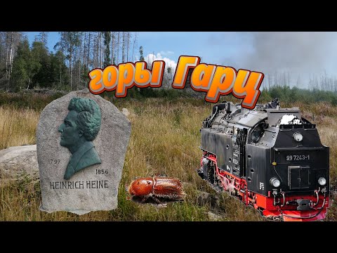 Видео: горы Гарц