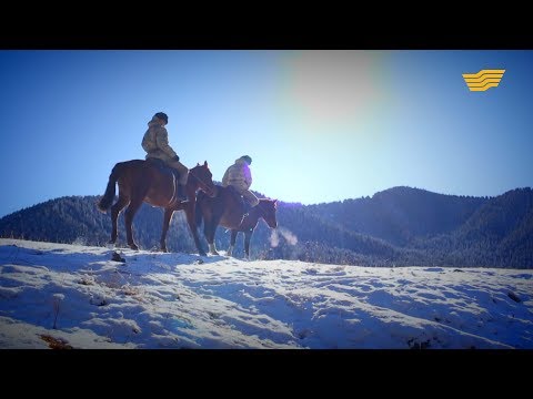 Видео: «Жауынгер». «Баянқол» шекара заставасы