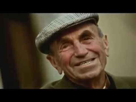 Видео: Купуя сыр. Толугу менен.