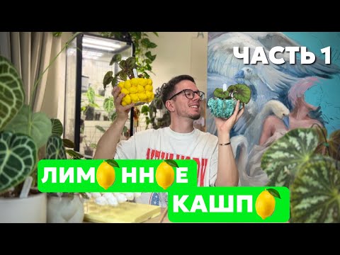 Видео: Делаем лимонное кашпо из PINTEREST 🍋 Часть 1