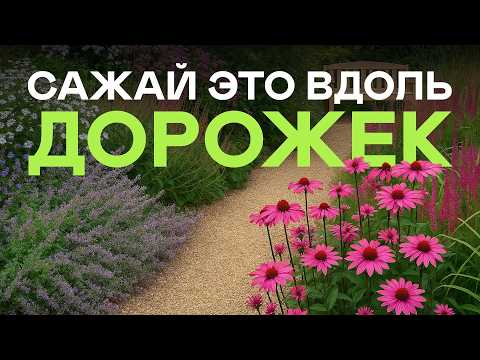Видео: Я Бы Никогда Не Посадила Эти 5 Растений Вдоль Дорожек (невозможно ходить!)