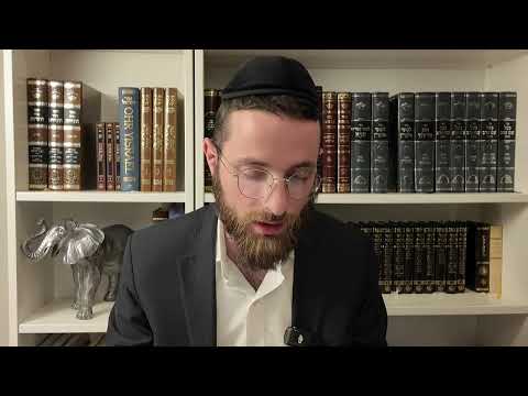 Видео: День 95 Пеле Йоэйц — Баис Хамидраш: Важность домов учёбы