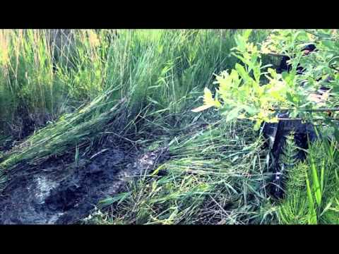 Видео: Тест-драйв Stels ATV Guepard 800G. Квадроциклы и снегоходы. Выпуск 29