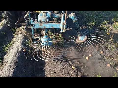 Видео: Картоплекопалка Schmutzer копає картоплю!!!😄😄😄