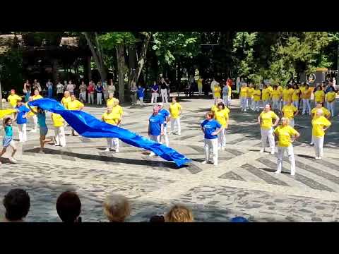 Видео: Выступление коллектива Новокадацкого района