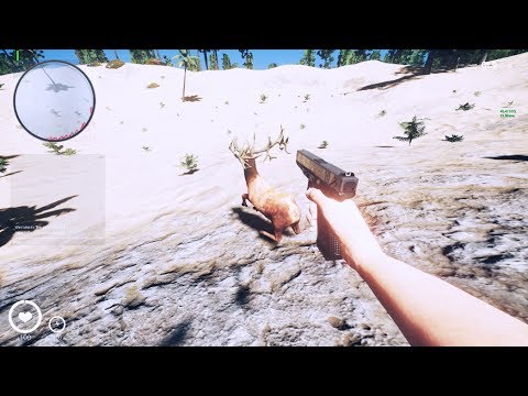 Видео: ▼Пляжные войны с оленями от Вульфа