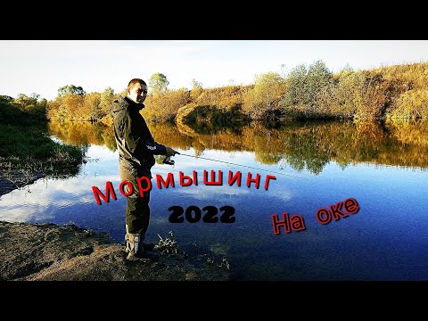 Видео: Мормышинг, Black Adder , микруха на реке Ока , поздней осенью 2022