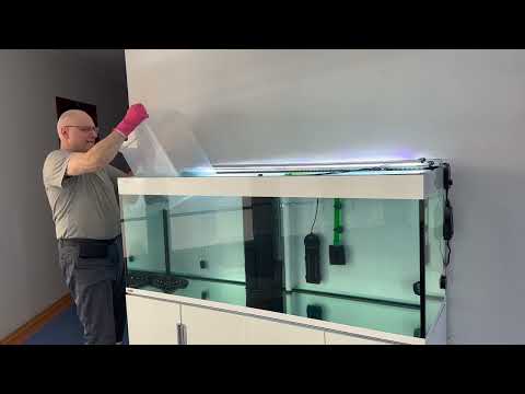 Видео: Как безопасно перевести ската в другой аквариум. Скаты леопольди от рождения до пересадки.