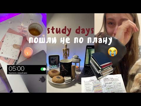 Видео: УЧЕБНЫЙ ВЛОГ: Укусила собака, последняя сессия, гастрит, организация канцелярии
