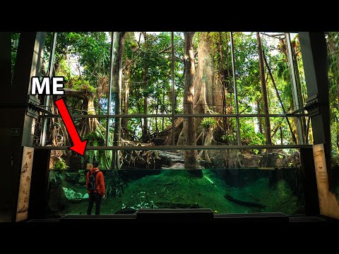 Видео: Я посетил один из крупнейших крытых тропических лесов в центре города