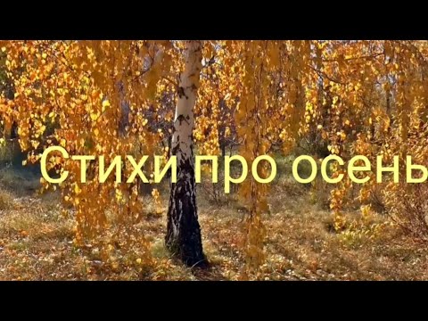 Видео: Стихи про осень детям. Стихи об осени #стихи#осень