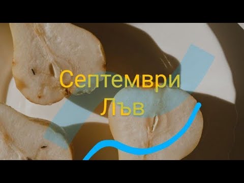 Видео: Септември Лъв