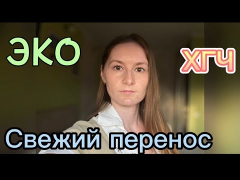 Видео: ЭКО IVM/СВЕЖИЙ ПЕРЕНОС ЭМБРИОНА/ИТОГИ ПРОТОКОЛА