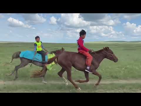 Видео: Дорнод аймгийн  Матад сумын "Шар овоо"-ны баяр наадам хурдан шүдлэнгийн уралдаан