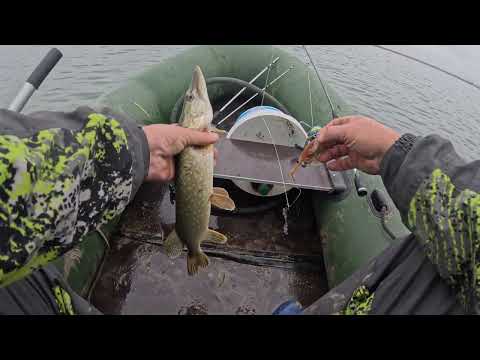 Видео: В ПОИСКАХ ОСЕННЕГО ЖОРА#рыбалка#fishing #рыбалканаозере
