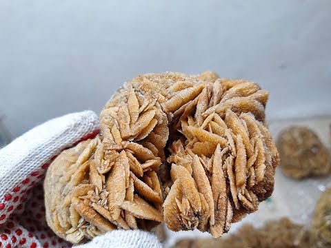 Видео: Розы пустыни.  Месторождение Степное   Алтайский край.