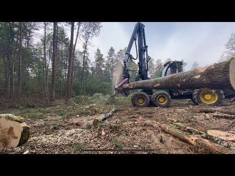 Видео: Сложная делянка после ремонта,вахта получилась не очень ..