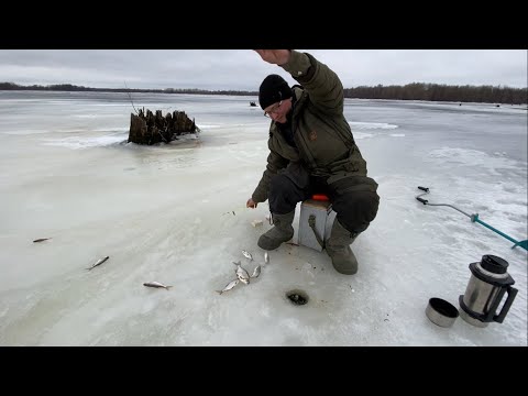 Видео: РЫБАЛКА В ХМЕЛЕВКЕ НА ВОЛГЕ В ЗАТОНАХ. Отвели душу и испытали мотособаку Барс