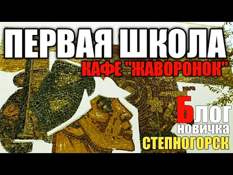 Видео: ПЕРВАЯ ШКОЛА.(2020) Кафе "Жаворонок".  Спорт-площадка.