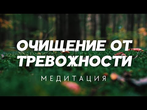 Видео: Почувствуйте успокоение и гармонию с медитацией на очищение от тревоги  @АЛЕКСАНДР БАРАНОВСКИЙ