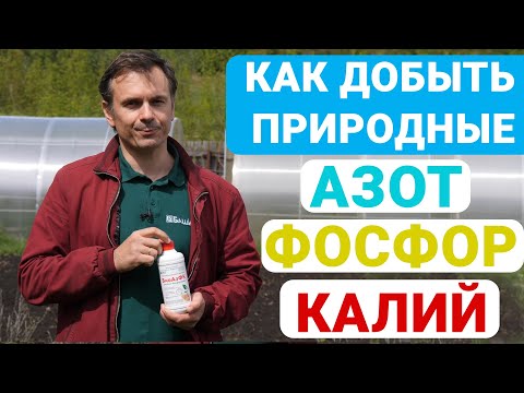 Видео: Микробный переворот – БиоАзФК