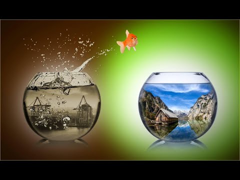 Видео: Изменение жизненных ситуаций и людей в пропорционально набору или потери энергии.