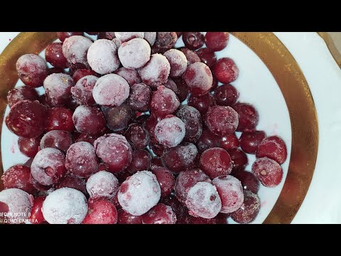 Видео: МОРС из замороженной вишни!