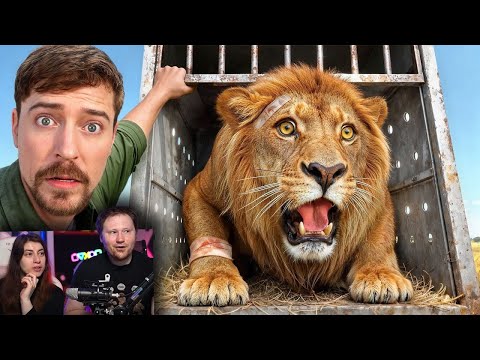 Видео: Я Спас 1000 Животных От Гибели | РЕАКЦИЯ на MrBeast