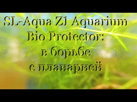 Видео: Китайский препарат для избавления аквариума с креветками от гидр, планарии и других червей