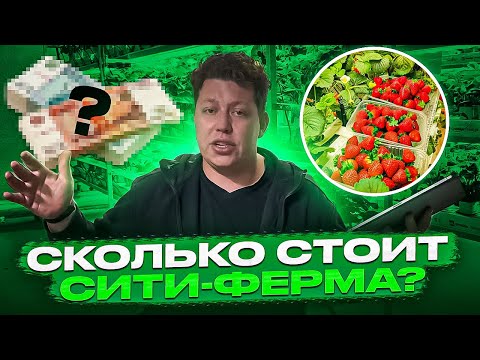 Видео: СКОЛЬКО СТОИТ ПОСТРОИТЬ СИТИ-ФЕРМУ?