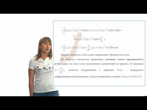 Видео: Методы оптимизации. Вариационное исчисление. Часть 7.2.1