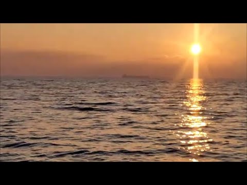 Видео: Конец января на Черном море / Архипо-Осиповка / Широкая балка