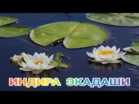 Видео: ИНДИРА ЭКАДАШИ .